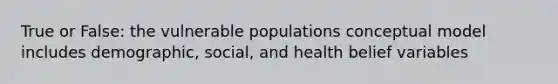 True or False: the vulnerable populations conceptual model includes demographic, social, and health belief variables