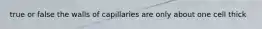 true or false the walls of capillaries are only about one cell thick