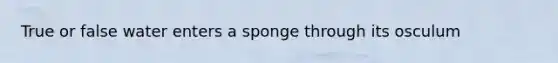 True or false water enters a sponge through its osculum