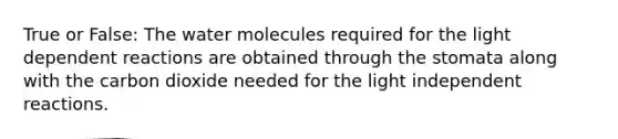 True or False: The water molecules required for the light dependent reactions are obtained through the stomata along with the carbon dioxide needed for the light independent reactions.