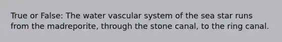 True or False: The water vascular system of the sea star runs from the madreporite, through the stone canal, to the ring canal.