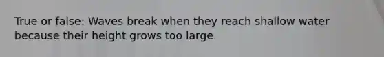 True or false: Waves break when they reach shallow water because their height grows too large