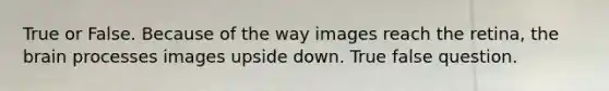 True or False. Because of the way images reach the retina, the brain processes images upside down. True false question.