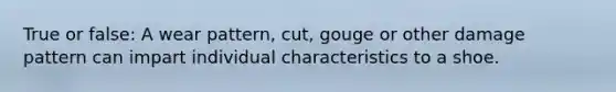True or false: A wear pattern, cut, gouge or other damage pattern can impart individual characteristics to a shoe.