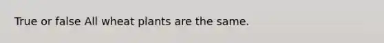 True or false All wheat plants are the same.