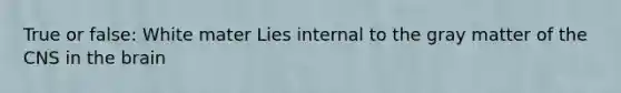 True or false: White mater Lies internal to the gray matter of the CNS in the brain