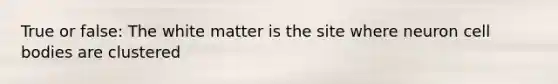 True or false: The white matter is the site where neuron cell bodies are clustered