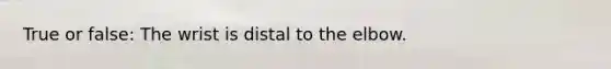 True or false: The wrist is distal to the elbow.