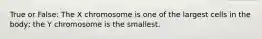 True or False: The X chromosome is one of the largest cells in the body; the Y chromosome is the smallest.