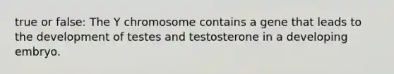 true or false: The Y chromosome contains a gene that leads to the development of testes and testosterone in a developing embryo.