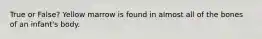 True or False? Yellow marrow is found in almost all of the bones of an infant's body.