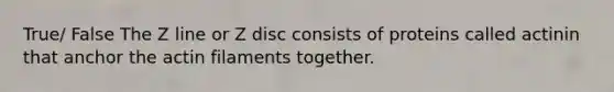 True/ False The Z line or Z disc consists of proteins called actinin that anchor the actin filaments together.