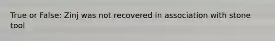 True or False: Zinj was not recovered in association with stone tool