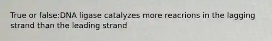 True or false:DNA ligase catalyzes more reacrions in the lagging strand than the leading strand