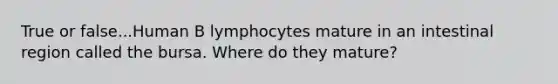 True or false...Human B lymphocytes mature in an intestinal region called the bursa. Where do they mature?