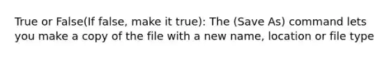 True or False(If false, make it true): The (Save As) command lets you make a copy of the file with a new name, location or file type