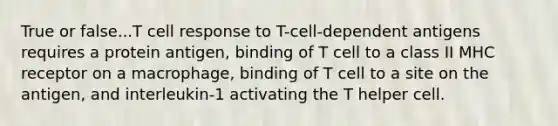 True or false...T cell response to T-cell-dependent antigens requires a protein antigen, binding of T cell to a class II MHC receptor on a macrophage, binding of T cell to a site on the antigen, and interleukin-1 activating the T helper cell.