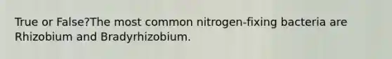 True or False?The most common nitrogen-fixing bacteria are Rhizobium and Bradyrhizobium.