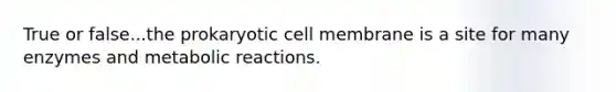 True or false...the prokaryotic cell membrane is a site for many enzymes and metabolic reactions.