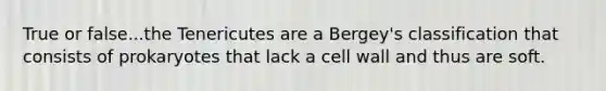 True or false...the Tenericutes are a Bergey's classification that consists of prokaryotes that lack a cell wall and thus are soft.