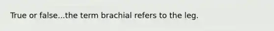 True or false...the term brachial refers to the leg.