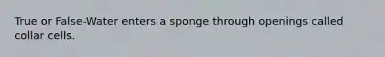 True or False-Water enters a sponge through openings called collar cells.