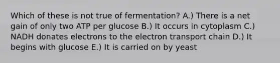 Which of these is not true of fermentation? A.) There is a net gain of only two ATP per glucose B.) It occurs in cytoplasm C.) NADH donates electrons to the electron transport chain D.) It begins with glucose E.) It is carried on by yeast