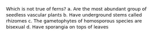 Which is not true of ferns? a. Are the most abundant group of seedless vascular plants b. Have underground stems called rhizomes c. The gametophytes of homosporous species are bisexual d. Have sporangia on tops of leaves