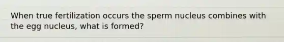 When true fertilization occurs the sperm nucleus combines with the egg nucleus, what is formed?