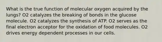 What is the true function of molecular oxygen acquired by the lungs? O2 catalyzes the breaking of bonds in the glucose molecule. O2 catalyzes the synthesis of ATP. O2 serves as the final electron acceptor for the oxidation of food molecules. O2 drives energy dependent processes in our cells.