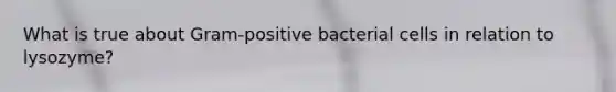 What is true about Gram-positive bacterial cells in relation to lysozyme?