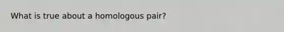 What is true about a homologous pair?