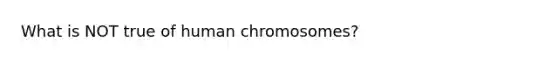 What is NOT true of human chromosomes?