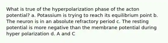 What is true of the hyperpolarization phase of the acton potential? a. Potassium is trying to reach its equilibrium point b. The neuron is in an absolute refractory period c. The resting potential is more negative than the membrane potential during hyper polarization d. A and C