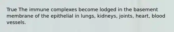 True The immune complexes become lodged in the basement membrane of the epithelial in lungs, kidneys, joints, heart, blood vessels.