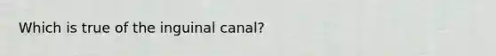 Which is true of the inguinal canal?