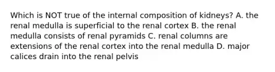 Which is NOT true of the internal composition of kidneys? A. the renal medulla is superficial to the renal cortex B. the renal medulla consists of renal pyramids C. renal columns are extensions of the renal cortex into the renal medulla D. major calices drain into the renal pelvis