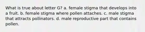 What is true about letter G? a. female stigma that develops into a fruit. b. female stigma where pollen attaches. c. male stigma that attracts pollinators. d. male reproductive part that contains pollen.