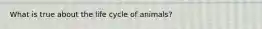 What is true about the life cycle of animals?