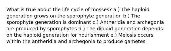 What is true about the life cycle of mosses? a.) The haploid generation grows on the sporophyte generation b.) The sporophyte generation is dominant c.) Antheridia and archegonia are produced by sporophytes d.) The diploid generation depends on the haploid generation for nourishment e.) Meiosis occurs within the antheridia and archegonia to produce gametes