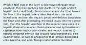 Which is NOT true of the liver? a) bile travels through small canaliculi, then bile ductules, bile ducts, to the right and left hepatic ducts, and finally the common hepatic duct that leaves the liver b) the hepatic artery takes blood from the small intestine to the liver, the hepatic portal vein delivers blood from the heart and after processing, the blood drains into the central vein, then the hepatic vein then to the superior vena cava c) a hepatic sinusoid is an open blood space formed by fenestrated capillaries from hepatic portal veins and hepatic arteries d) hepatic sinusoids contain star-shaped reticuloendothelial cells (Kupffer cells), as well as phagocytes that remove dead blood cells, bacteria, and other foreign material from the blood