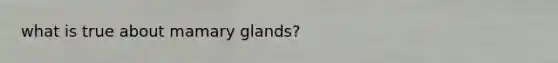 what is true about mamary glands?