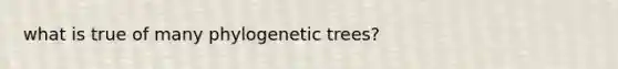 what is true of many phylogenetic trees?