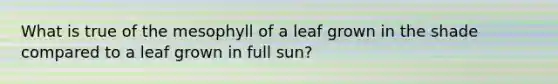 What is true of the mesophyll of a leaf grown in the shade compared to a leaf grown in full sun?