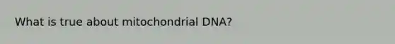 What is true about mitochondrial DNA?