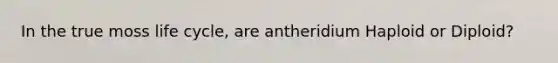 In the true moss life cycle, are antheridium Haploid or Diploid?
