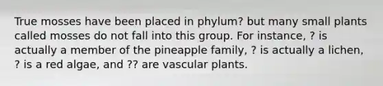 True mosses have been placed in phylum? but many small plants called mosses do not fall into this group. For instance, ? is actually a member of the pineapple family, ? is actually a lichen, ? is a red algae, and ?? are vascular plants.