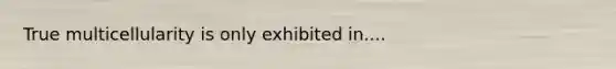 True multicellularity is only exhibited in....