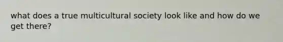 what does a true multicultural society look like and how do we get there?