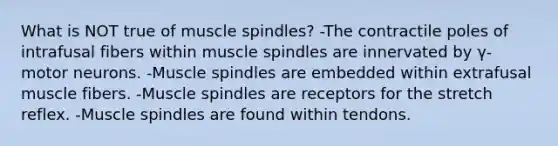 What is NOT true of muscle spindles? -The contractile poles of intrafusal fibers within muscle spindles are innervated by γ-motor neurons. -Muscle spindles are embedded within extrafusal muscle fibers. -Muscle spindles are receptors for the stretch reflex. -Muscle spindles are found within tendons.